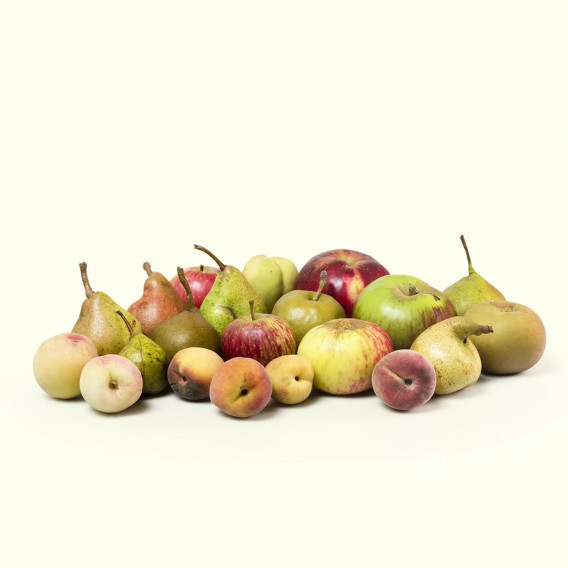 Fruta de temporada: manzanas, peras, ciruelas y mucho más. Todos de especies autóctonas recuperadas.