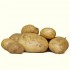 "Patacas novas" también conocidas como "patatas nuevas" o "patatas de temprano"