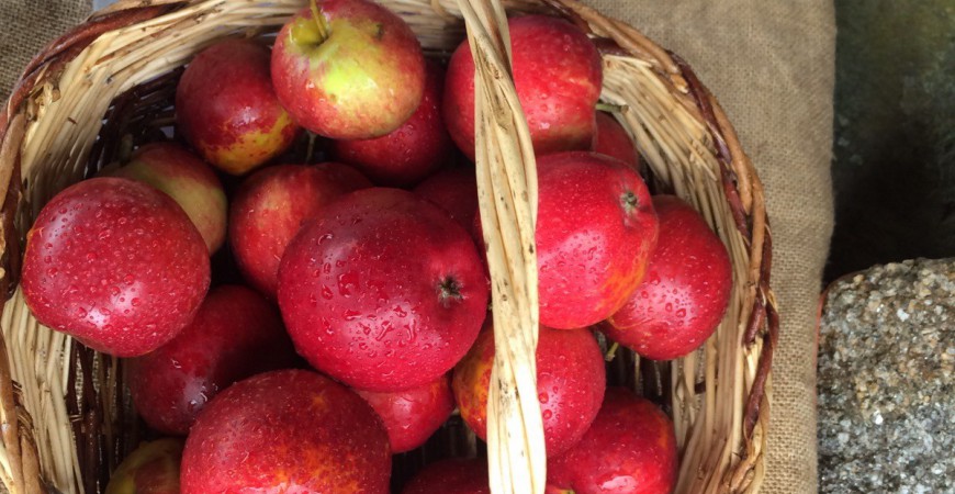 Frutas con nombres raros: del cojón de fraile a la manzana del cura